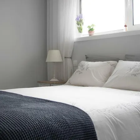 Shelter 532 Apartment *