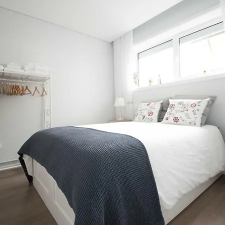 Shelter 532 Apartment